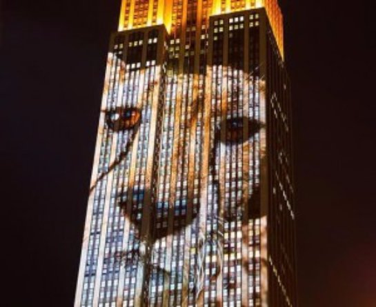 На нью-йоркском небоскребе появились изображения животных, которые находятся на грани вымирания