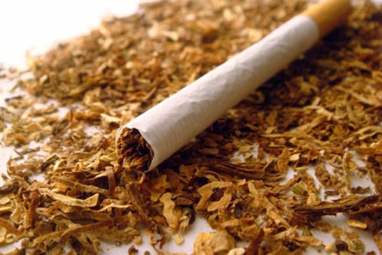 Великобритания отказалась от последнего в стране табачного завода