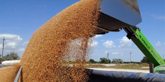Россия сможет в 2016 году экспортировать больше зерна