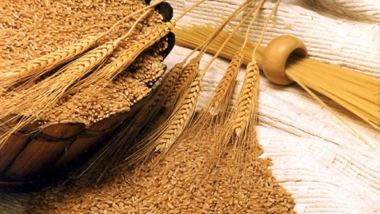 Крымчане получили солидный урожай зерновых