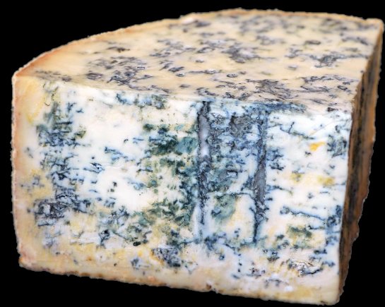 Бывший мэр Суздаля инициирует производство сыра с плесенью