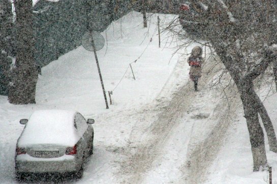 Новосибирск засыпало снегом