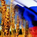 Турция не хочет покупать российскую пшеницу